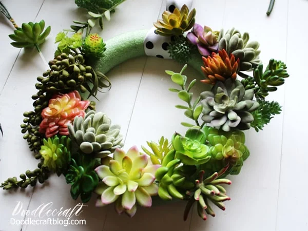 Spread out the colors of the succulents and the shapes.  Continue working to fill the wreath.