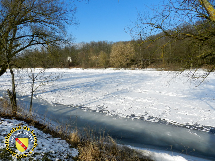 FLAVIGNY-SUR-MOSELLE (54) - Le long de la Moselle....gelée !
