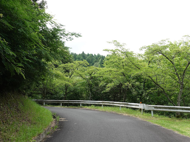 鳥取県西伯郡南部町下中谷　緑水湖遊歩道