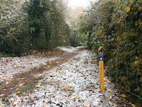 Agroturismo Arkaia. Nieve en Arkaia. Camino de Santiago hacia Vitoria - Gasteiz
