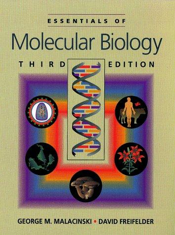 Essentials Of Molecular Biology 3rd Edition Pdf Lobby