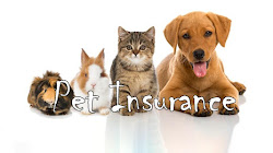 Do We Really Need Pet Insurance?