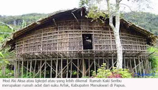 Keunikan Rumah Kaki Seribu Di Papua