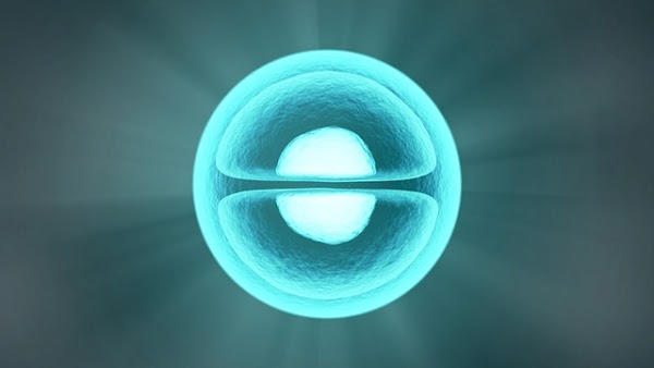 10 plus Difference and similarities between prokaryotic and eukaryotic cell