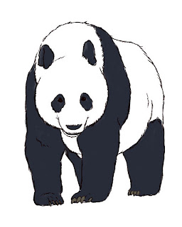 Panda-Color-Step-6