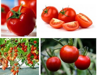 manfaat buah tomat bagi ibu hamil