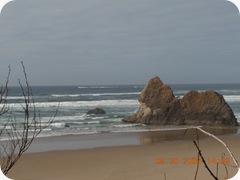 DSCN0794