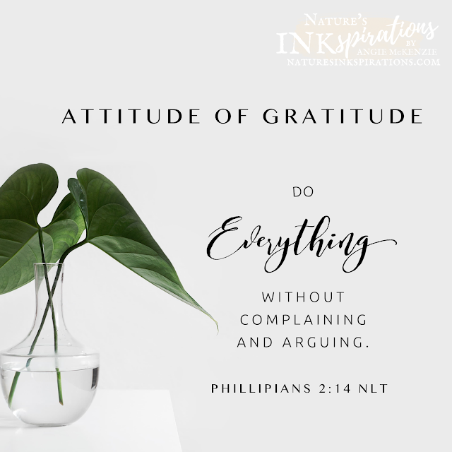 Attitude of Gratitude | Phillipians 2:14 NLT