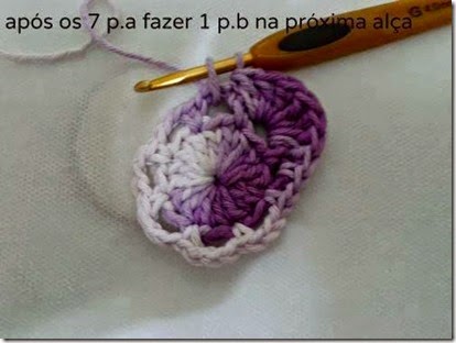 rosa g