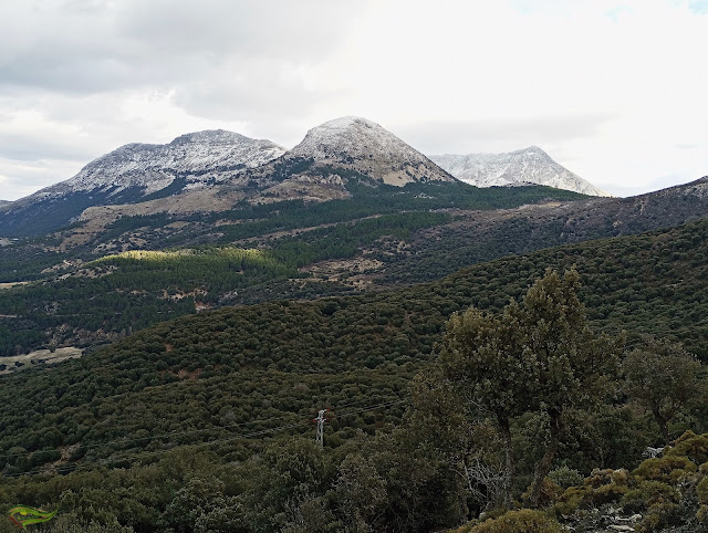 Subida circular al Pico Almadén (2.036 m) desde el Área Recreativa de la Fuenmayor (Parque Natural Sierra Mágina)