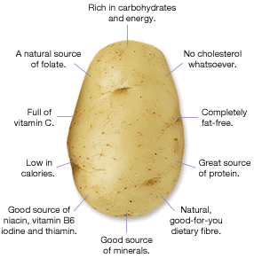 White Potato Nutrition