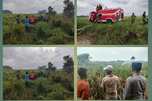 Gercep, Personel Polsek Julok Bantu Padamkan 4 Hektar Lahan Terbakar 