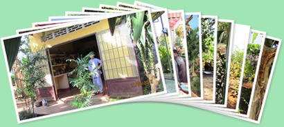 View album