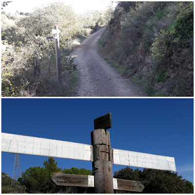 Prenafeta a Santes Creus GR-175 Ruta del Cister, Camí dels Horts a l'entrada de Figuerola del Camp