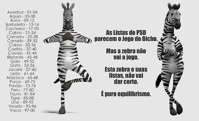 PSD Madeira: a Lista que nem uma vidente salvava