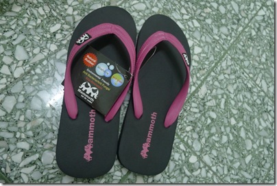 mammoth flip flops