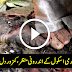 Inside Footage of Attack at Army Public School in Peshawar - PG18+