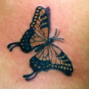 butterfly tattoo art gallery which has a very good design with the right color processing