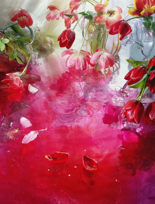 margriet smulders 8