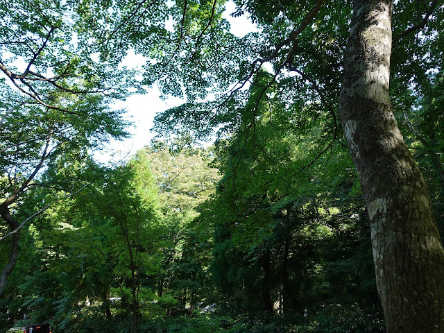 大山寺の散策路