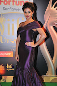 Sonal Chauhan photos from IIFA Utsavam-thumbnail-19