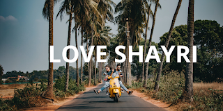 100+ love shayri in hindi-best hindi shayri for lovers