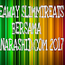 GIVEAWAY SLIMMTREATS BERSAMA DIANARASHID.COM 2017