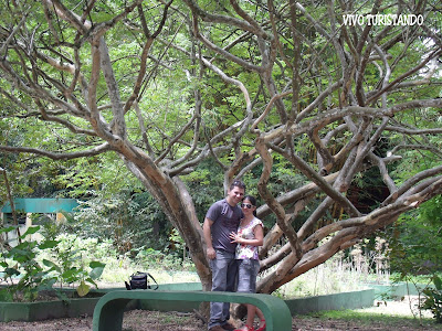 Manaus | Fomos conhecer o Sauim-de-Manaus no Parque do Mindu