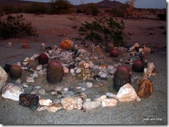 1-IMG_4515