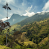 Cocoa Valley in Los Nevada's National Characteristic Stop, Colombia 