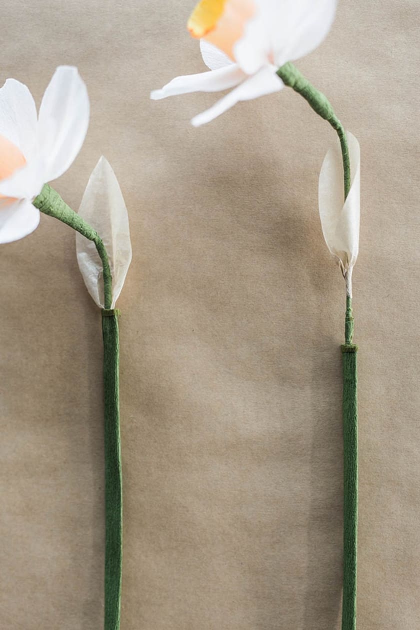 DIY Paper Daffodil Tutorial