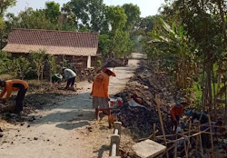 Profil desa Rejomulyo Karangjati Ngawi