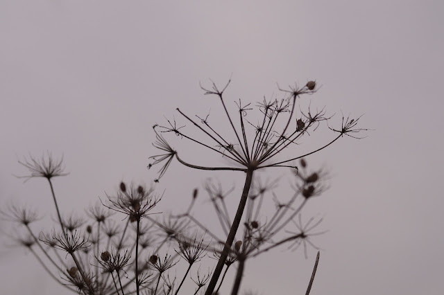 Norfolk countryside landscape photographs 2015