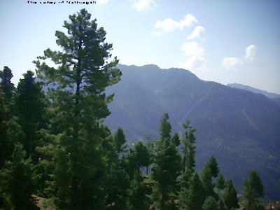 Nathia Gali Wallpapers