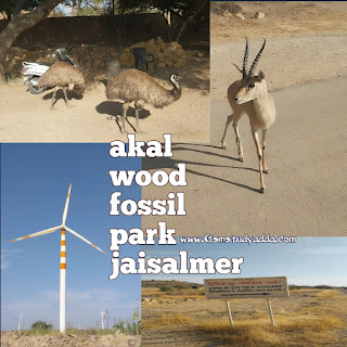 Akal Wood Fossil Park Jaisalmer || आकल वुड फॉसिल पार्क जैसलमेर