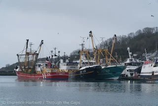 newlyn harbour visiting yachts