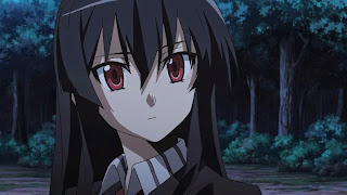 Akame to jedna z głównych bohaterek Akame Ga Kill - dziewczyna ma czarne włosy i czerwone oczy