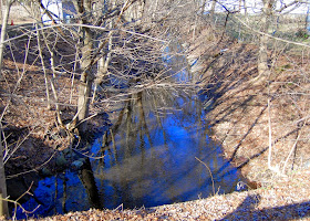 feeder stream to Mine Brook