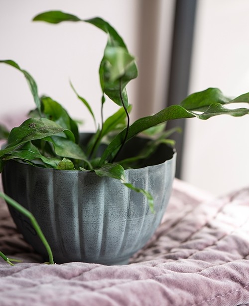 https://www.smunk.de/uebertopf-pot-85cm