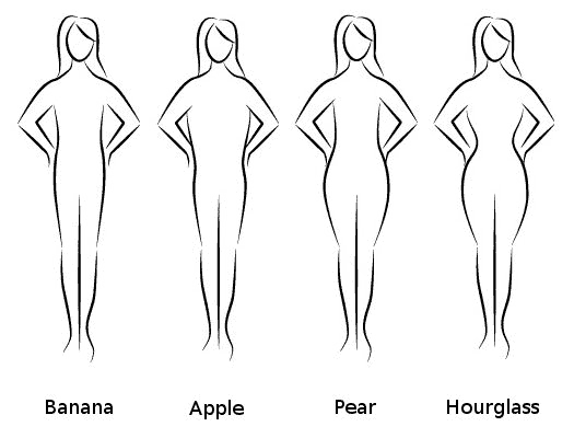 women body outline. to the outline of our ody