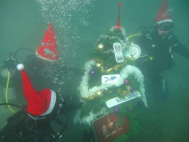 Weihnachtsbaum auf dem Grund des Ohridsee