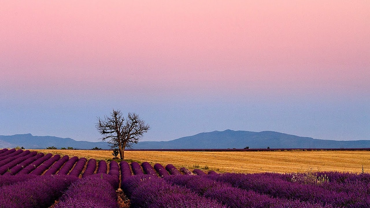 Provence - French Provence