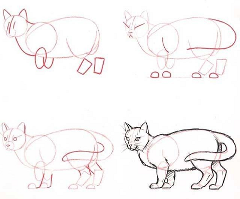 Como Dibujar un Gato Facil Paso a Paso - Tutorial