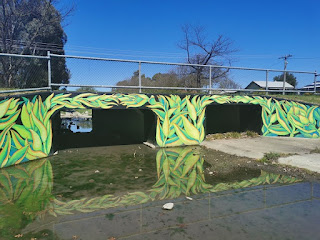 Albury Street Art | Waites Park mural by Kristina Greenwood