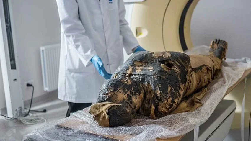 The latest mummy found in Egypt is surprising the world