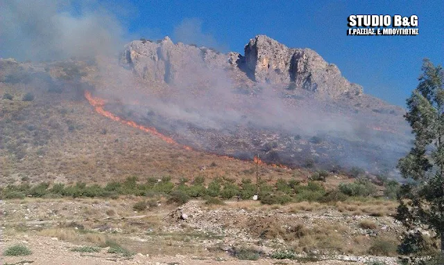 Αργολίδα: Μεγάλη πυρκαγιά στην Προσύμνη 