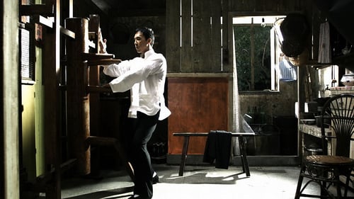 Ip Man 2 2010 online español