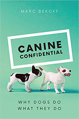 The cover of Canine Confidential by Marc Bekoff