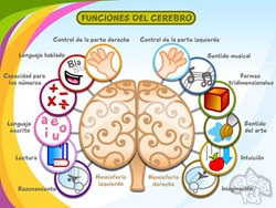 Blog De Imagenes Imagenes Dia Del Zurdo