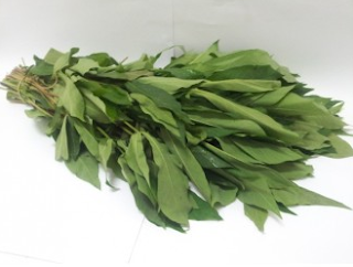 Manfaat Daun Singkong